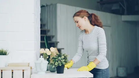 Earth Friendly Cleaning | Cleaning Examples